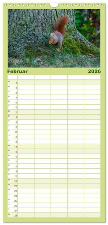 Produktbild: Familienplaner 2026 - Spa&szlig; mit Eichh&ouml;rnchen-Kindern mit 5 Spalten (Wandkalender, 21 x 45 cm) CALVENDO