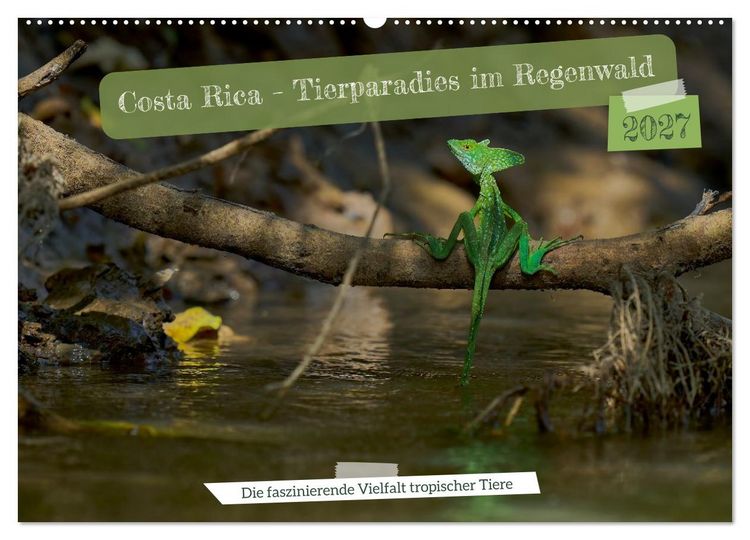 Produktbild: Costa Rica - Tierparadies im Regenwald (Wandkalender 2027 DIN A2 quer), CALVENDO Monatskalender