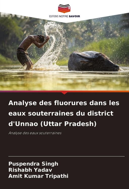 Produktbild: Analyse des fluorures dans les eaux souterraines du district d'Unnao (Uttar Pradesh)