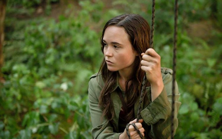 Produktbild: Into the Forest