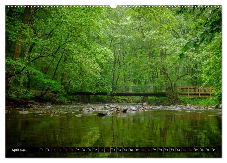 Produktbild: Wege des einfachen Gl&uuml;cks - Spazierg&auml;nge im Wald (Wandkalender 2026 DIN A2 quer), CALVENDO Monatskalender