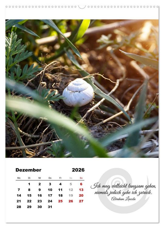 Produktbild: Schnecklein (Wandkalender 2026 DIN A2 hoch), CALVENDO Monatskalender