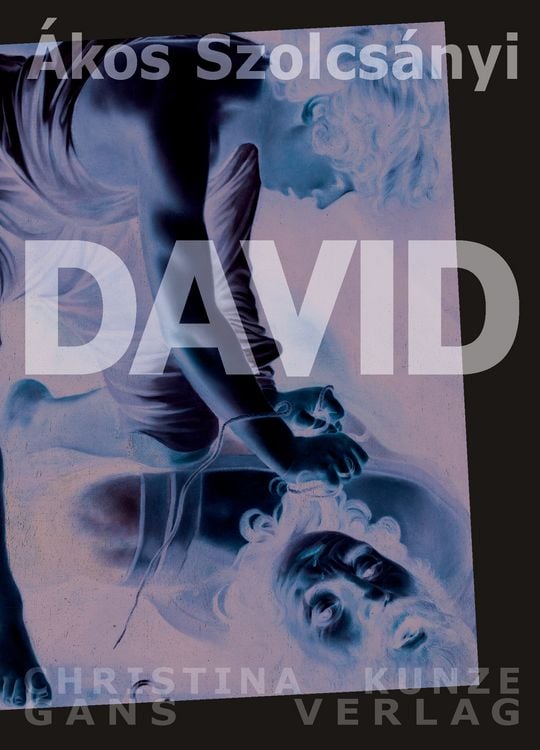 Produktbild: David