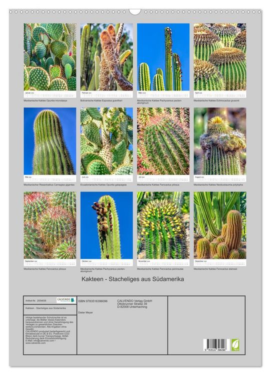 Produktbild: Kakteen - Stacheliges aus S&uuml;damerika (Wandkalender 2026 DIN A2 hoch), CALVENDO Monatskalender