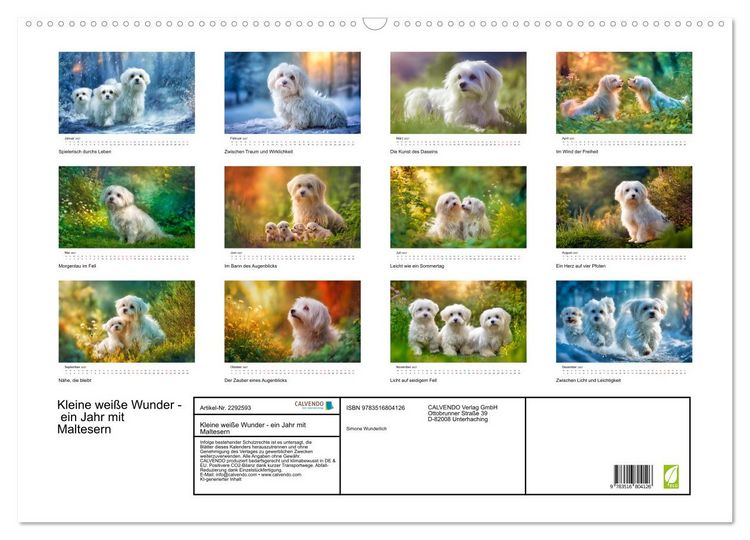 Produktbild: Kleine wei&szlig;e Wunder - ein Jahr mit Maltesern (Wandkalender 2027 DIN A2 quer), CALVENDO Monatskalender