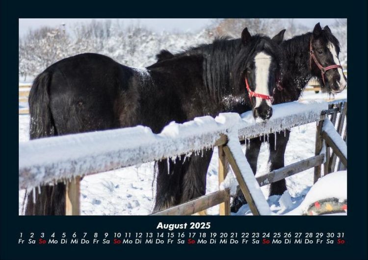 Produktbild: Winterzauber 2025 Fotokalender DIN A4