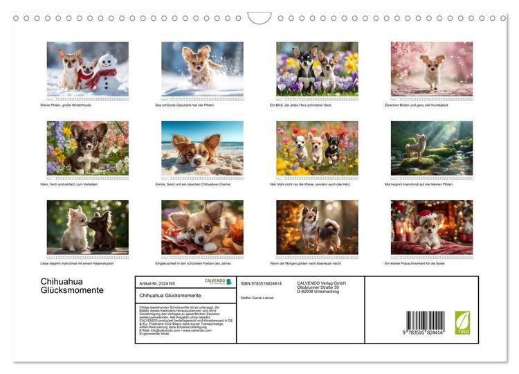 Produktbild: Chihuahua Gl&uuml;cksmomente (Wandkalender 2027 DIN A3 quer), CALVENDO Monatskalender