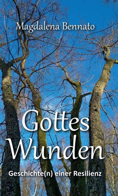 Produktbild: Gottes Wunden