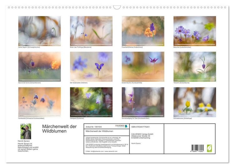 Produktbild: M&auml;rchenwelt der Wildblumen (Wandkalender 2026 DIN A2 quer), CALVENDO Monatskalender