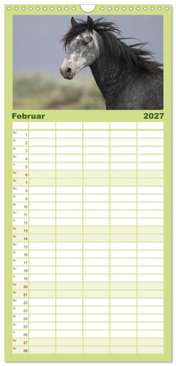 Produktbild: Familienplaner 2027 - Wilde Pferde &bull; Mustangs in USA mit 5 Spalten (Wandkalender, 21 x 45 cm) CALVENDO