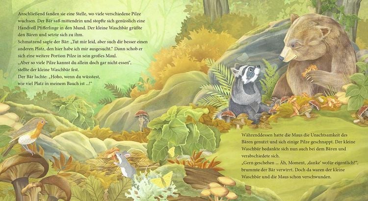 Produktbild: Der kleine Waschb&auml;r findet neue Freunde &ndash; ein Bilderbuch f&uuml;r Kinder ab 2 Jahren