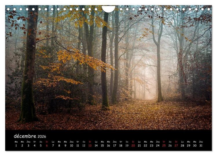 Produktbild: BROCELIANDE, la for&ecirc;t (Calendrier mural 2026 DIN A4 vertical), CALVENDO calendrier mensuel