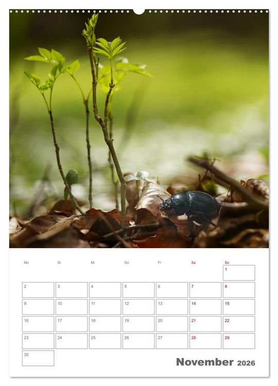 Produktbild: Helden in der Natur (Wandkalender 2026 DIN A2 hoch), CALVENDO Monatskalender