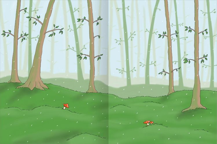 Produktbild: Erstes Stickern &ndash; Im Wald