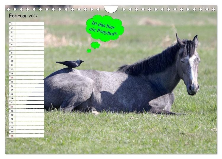 Produktbild: Wenn Tiere Sprechen k&ouml;nnten! Der lustige Spr&uuml;che Geburtstagskalender (Wandkalender 2027 DIN A4 quer), CALVENDO Monatskalender