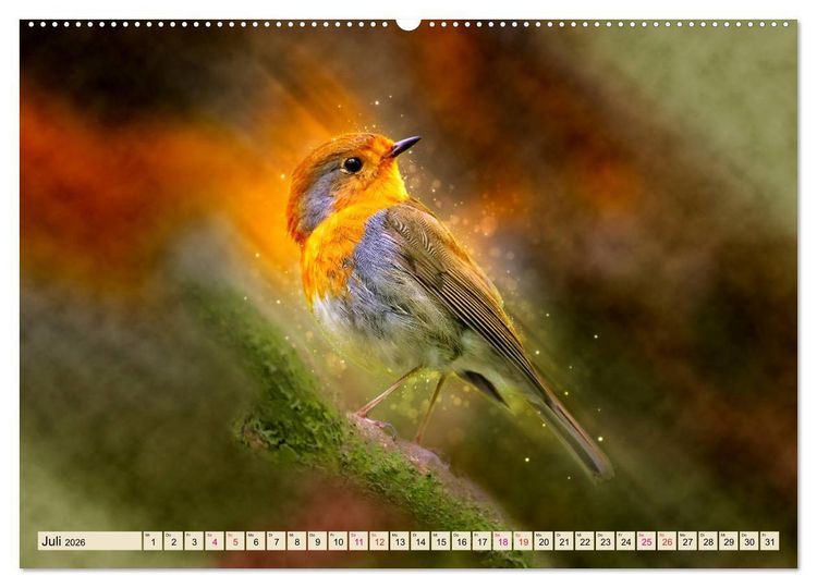 Produktbild: Bei uns im Garten - Rotkehlchen (Wandkalender 2026 DIN A2 quer), CALVENDO Monatskalender