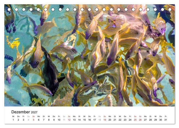 Produktbild: Unterwasserwelt der Malediven II (Tischkalender 2027 DIN A5 quer), CALVENDO Monatskalender