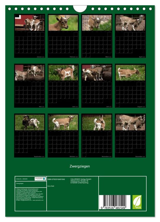 Produktbild: Zwergziegen (Wandkalender 2026 DIN A4 hoch), CALVENDO Monatskalender