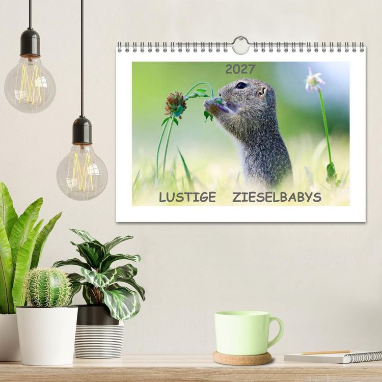Produktbild: Lustige Zieselbabys (Wandkalender 2027 DIN A4 quer), CALVENDO Monatskalender