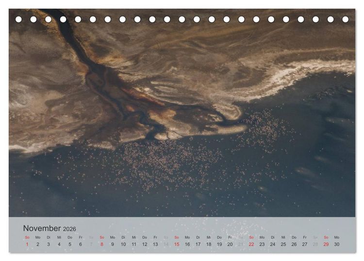 Produktbild: Flamingo Impressionen 2026 (Tischkalender 2026 DIN A5 quer), CALVENDO Monatskalender
