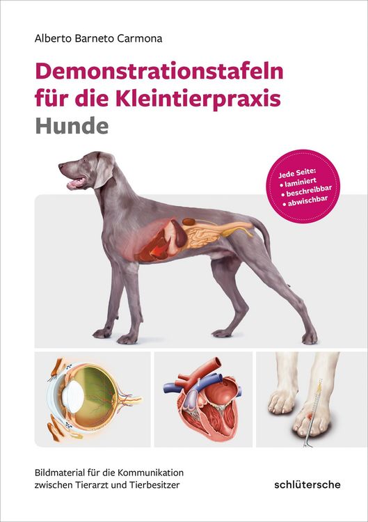 Produktbild: Demonstrationstafeln f&uuml;r die Kleintierpraxis Hunde