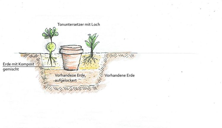 Produktbild: Handbuch Wasser im Garten