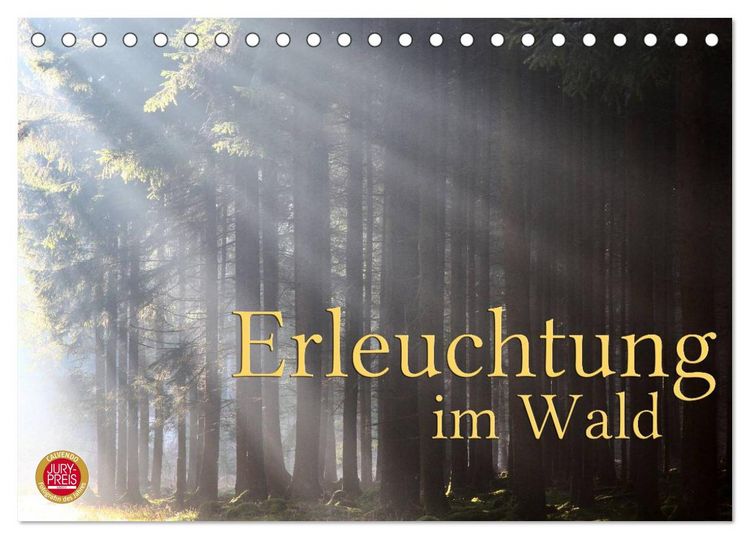 Produktbild: Erleuchtung im Wald (Tischkalender 2026 DIN A5 quer), CALVENDO Monatskalender