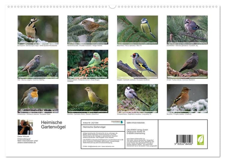 Produktbild: Heimische Gartenv&ouml;gel (hochwertiger Premium Wandkalender 2026 DIN A2 quer), Kunstdruck in Hochglanz