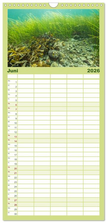 Produktbild: Familienplaner 2026 - Unter Wasser rund um Fehmarn mit 5 Spalten (Wandkalender, 21 x 45 cm) CALVENDO