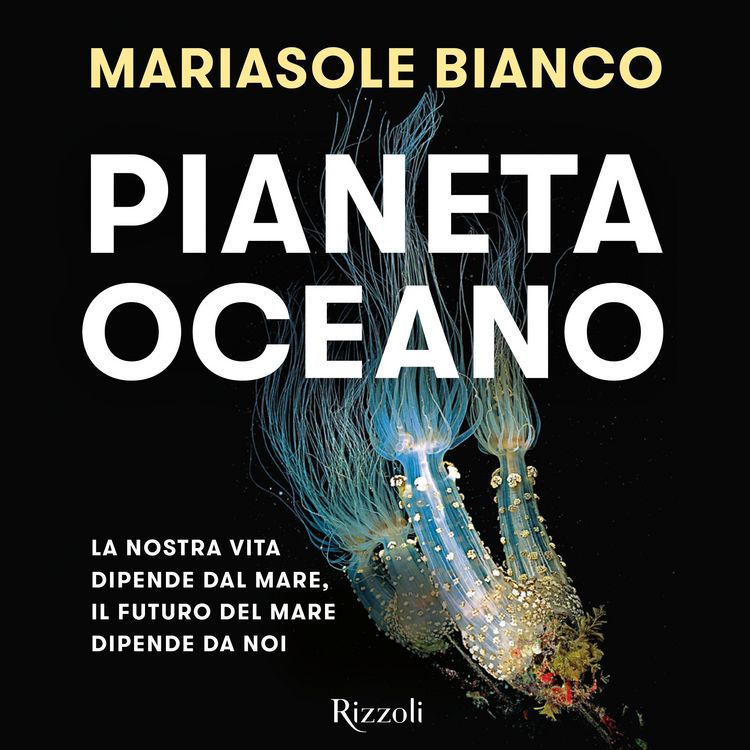 Produktbild: Pianeta oceano
