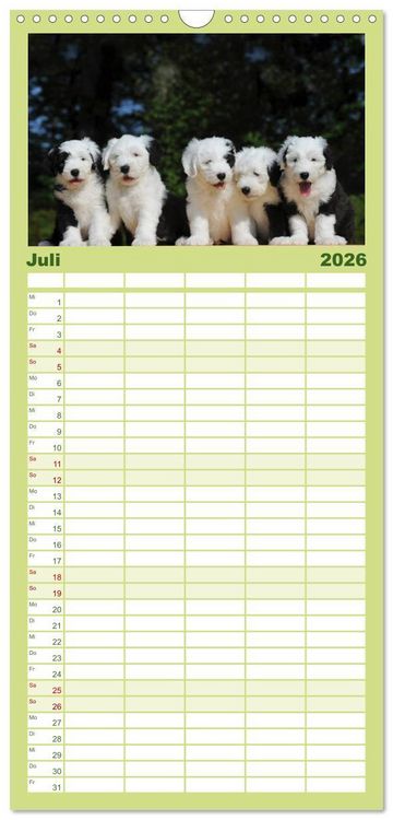 Produktbild: Familienplaner 2026 - Welpen 2026 mit 5 Spalten (Wandkalender, 21 x 45 cm) CALVENDO