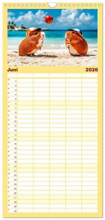 Produktbild: Familienplaner 2026 - Meerschweinchen - Hauptsache Urlaub mit 5 Spalten (Wandkalender, 21 x 45 cm) CALVENDO