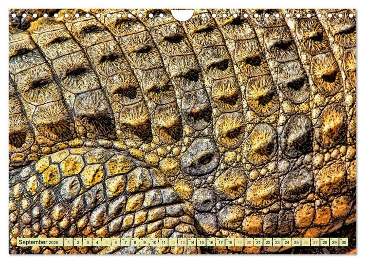 Produktbild: Urzeitreptilien - Krokodil (Wandkalender 2026 DIN A4 quer), CALVENDO Monatskalender
