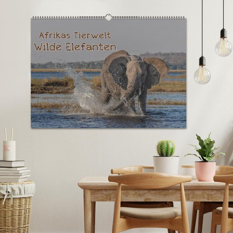 Produktbild: Afrikas Tierwelt - Wilde Elefanten (Wandkalender 2026 DIN A2 quer), CALVENDO Monatskalender