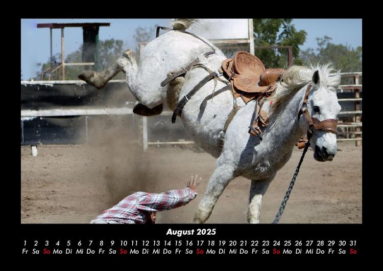Produktbild: Die Welt der Pferde 2025 Fotokalender DIN A3