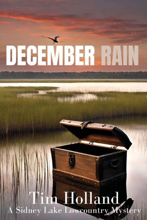 Produktbild: December Rain