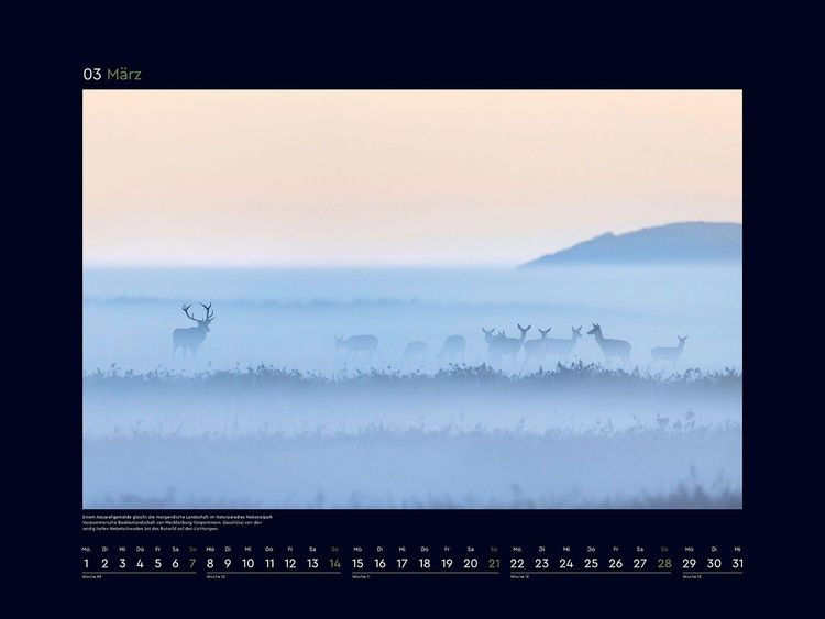 Produktbild: Wildnis Deutschland - KUNTH Wandkalender 2027