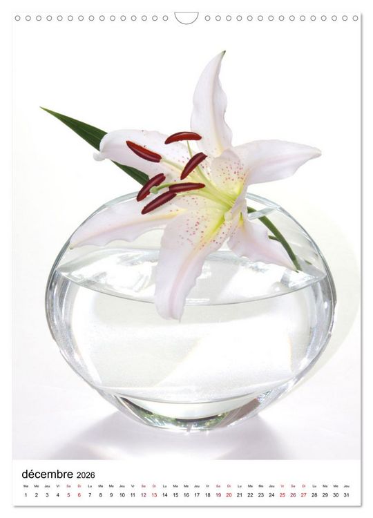 Produktbild: Fleurs &eacute;l&eacute;gantes (Calendrier mural 2026 DIN A3 horizontal), CALVENDO calendrier mensuel