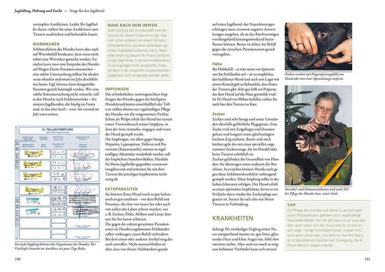 Produktbild: Vom Welpen zum Jagdhelfer