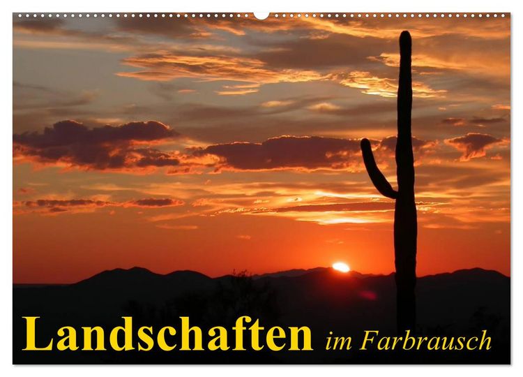Produktbild: Landschaften im Farbrausch (Wandkalender 2026 DIN A2 quer), CALVENDO Monatskalender