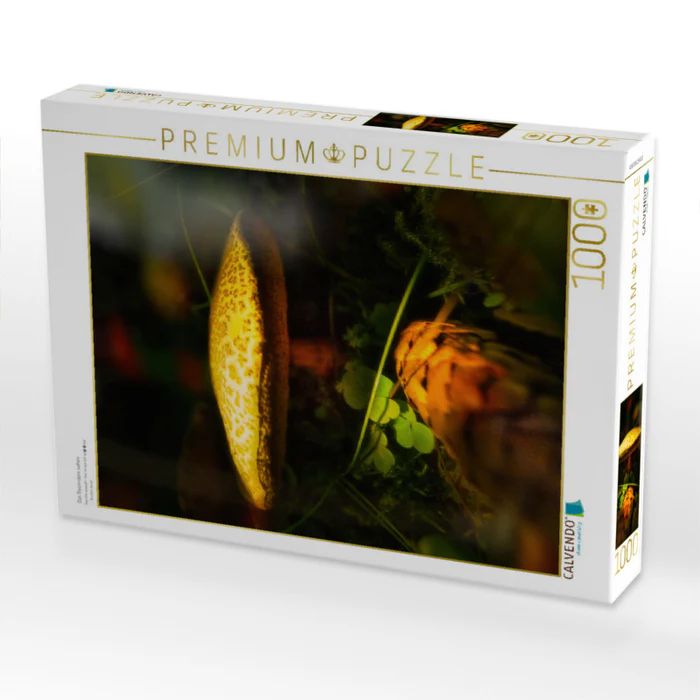 Produktbild: CALVENDO Puzzle Das Besondere sehen | 1000 Teile Lege-Gr&ouml;&szlig;e 64x48cm Foto-Puzzle f&uuml;r gl&uuml;ckliche Stunden
