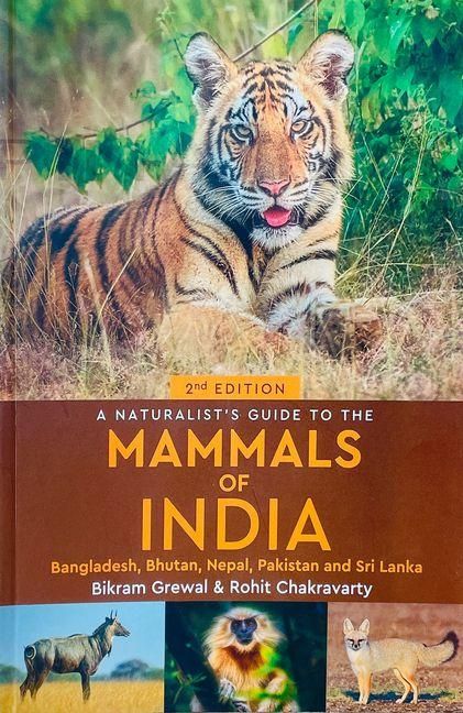 Produktbild: A Naturalist's Guide to the Mammals of India