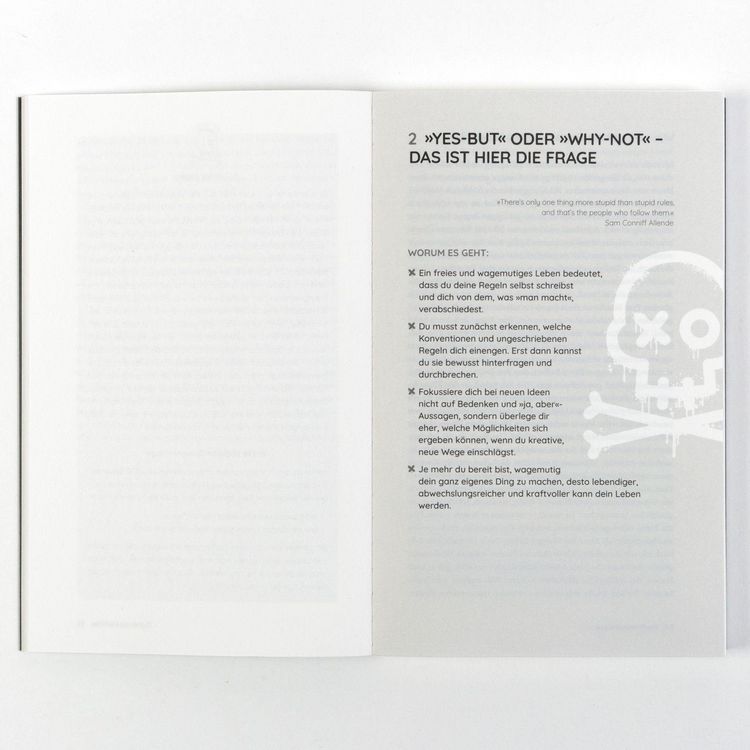 Produktbild: Die Piratenstrategie