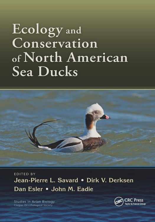 Produktbild: Ecology and Conservation of North American Sea Ducks