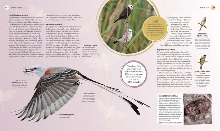 Produktbild: V&ouml;gel - Eine Natur- und Kulturgeschichte