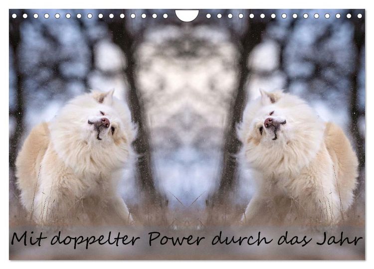 Produktbild: Mit doppelter Power durch das Jahr (Wandkalender 2026 DIN A4 quer), CALVENDO Monatskalender