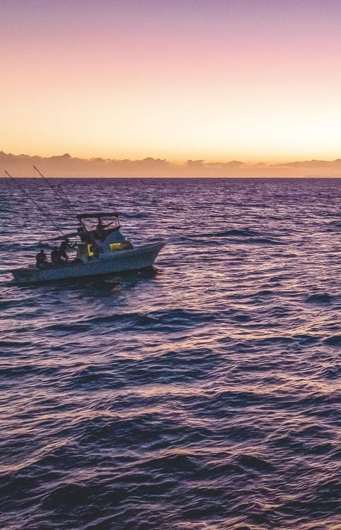 Produktbild: Im Meer bin ich zu Hause