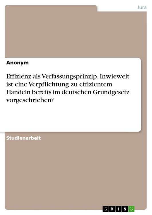 Produktbild: Effizienz als Verfassungsprinzip. Inwieweit ist eine Verpflichtung zu effizientem Handeln bereits im deutschen Grundgesetz vorgeschrieben?