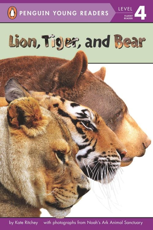 Produktbild: Lion, Tiger, and Bear