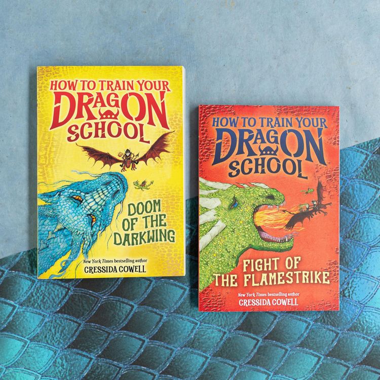 Produktbild: How to Train Your Dragon School: Fight of the Flamestrike